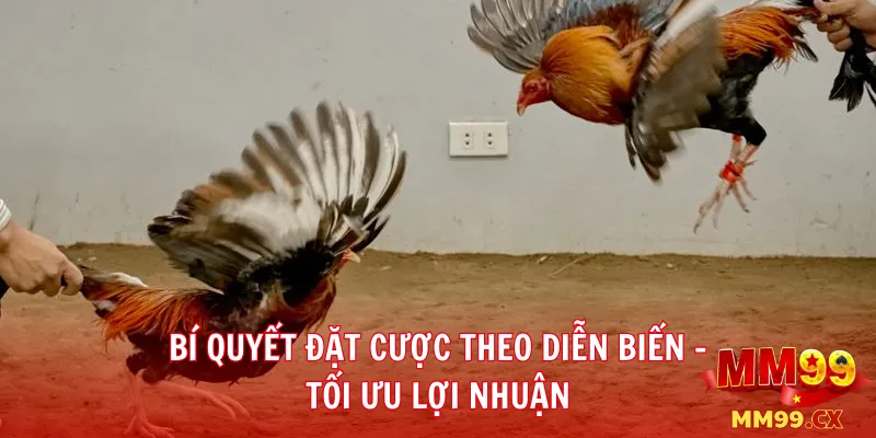 Bí quyết đặt cược theo diễn biến – tối ưu lợi nhuận